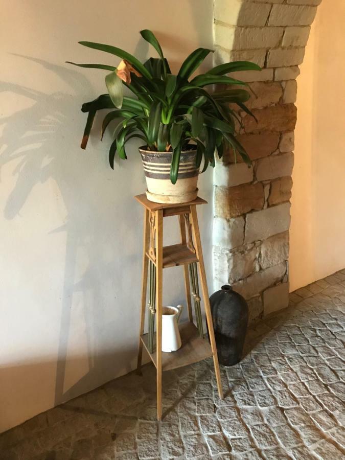 Budyne Apartment Budyne nad Ohri 外观 照片